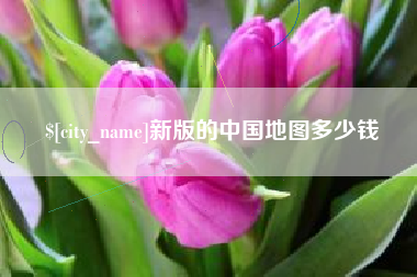 东营新版的中国地图多少钱