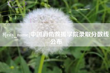 东营中国消防救援学院录取分数线公布