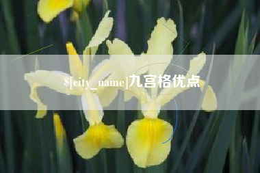 东营九宫格优点