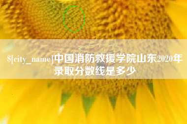 东营中国消防救援学院山东2020年录取分数线是多少