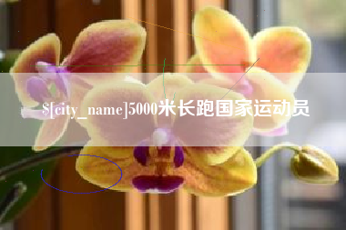 东营5000米长跑国家运动员