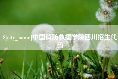 东营中国消防救援学院四川招生代码