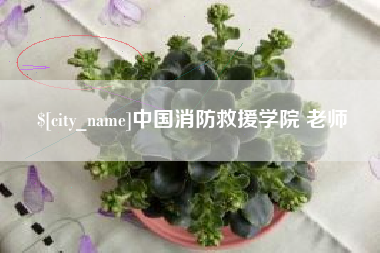 东营中国消防救援学院 老师