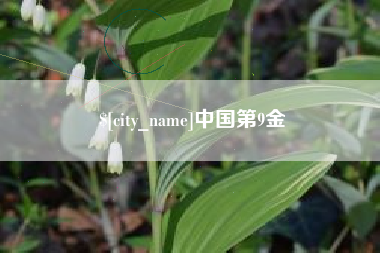 东营中国第9金