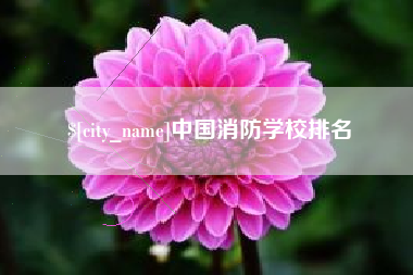 东营中国消防学校排名
