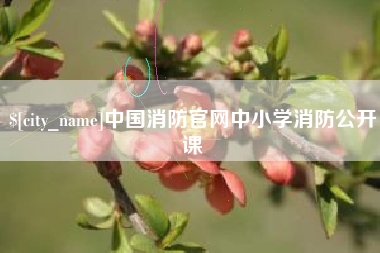 东营中国消防官网中小学消防公开课