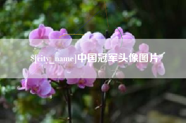 东营中国冠军头像图片