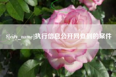 东营执行信息公开网查到的案件