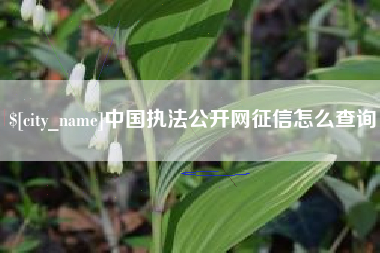 东营中国执法公开网征信怎么查询