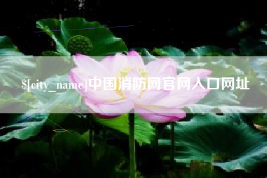 东营中国消防网官网入口网址