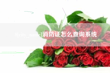 东营消防证怎么查询系统