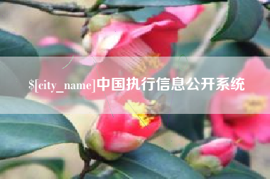 东营中国执行信息公开系统