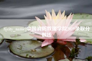 东营中国消防救援学院2019录取分数线
