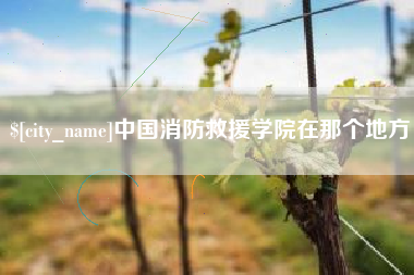 东营中国消防救援学院在那个地方