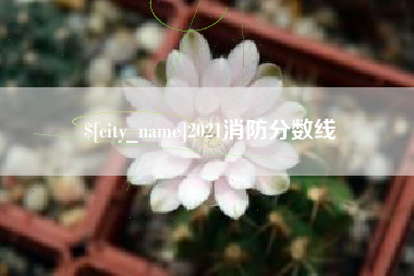 东营2021消防分数线