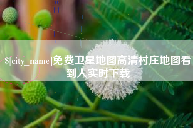 东营免费卫星地图高清村庄地图看到人实时下载