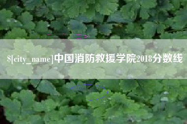东营中国消防救援学院2018分数线