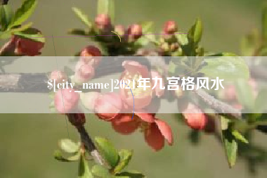 东营2021年九宫格风水