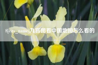 东营九宫图看中国地图怎么看的