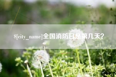 东营全国消防日是第几天？