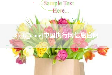 东营中国执行网信息官网