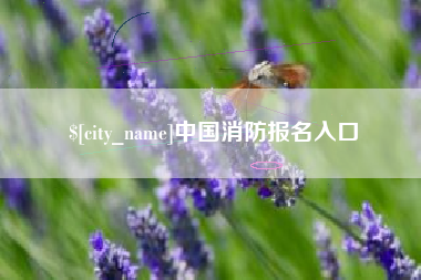 东营中国消防报名入口