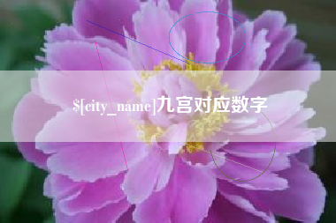 东营九宫对应数字