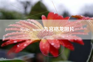 东营九宫格龙图片