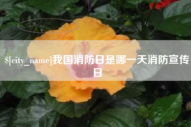 东营我国消防日是哪一天消防宣传日