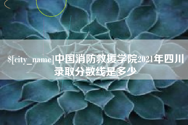 东营中国消防救援学院2021年四川录取分数线是多少