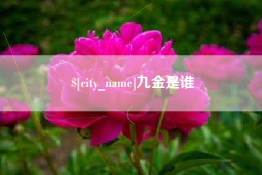 东营九金是谁