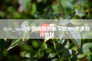 东营中国消防救援学院2019年录取分数线