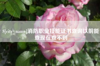 东营消防职业技能证书查询以前能查现在查不到