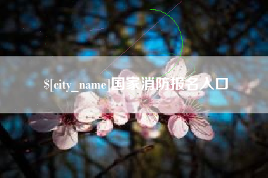 东营国家消防报名入口