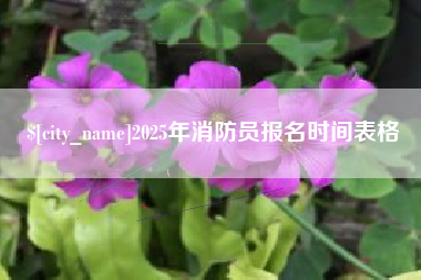 东营2025年消防员报名时间表格
