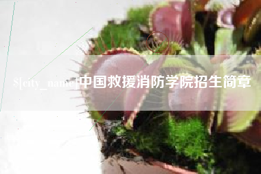 东营中国救援消防学院招生简章
