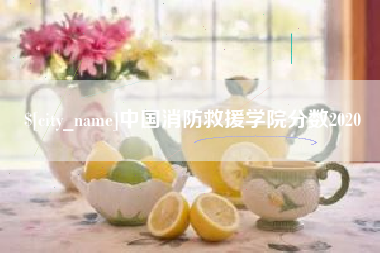 东营中国消防救援学院分数2020