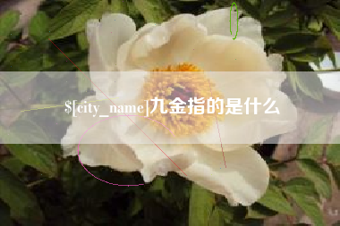 东营九金指的是什么