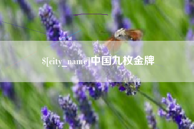 东营中国九枚金牌