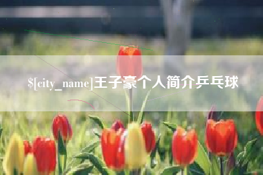 东营王子豪个人简介乒乓球