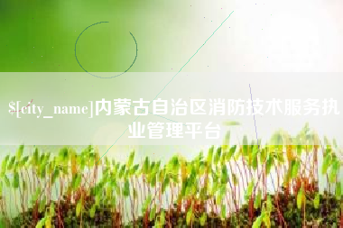 东营内蒙古自治区消防技术服务执业管理平台