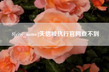 东营失信被执行官网查不到