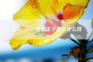 东营看看王子豪长什么样
