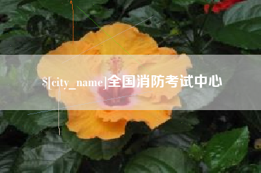 东营全国消防考试中心