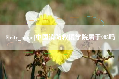 东营中国消防救援学院属于985吗