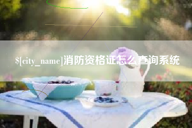 东营消防资格证怎么查询系统
