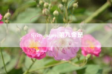 东营第九金是