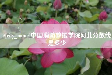 东营中国消防救援学院河北分数线是多少