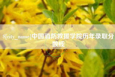 东营中国消防救援学院历年录取分数线