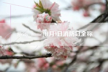 东营11月9日消防日全称